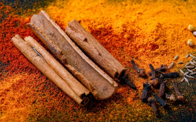ayurveda thérapie